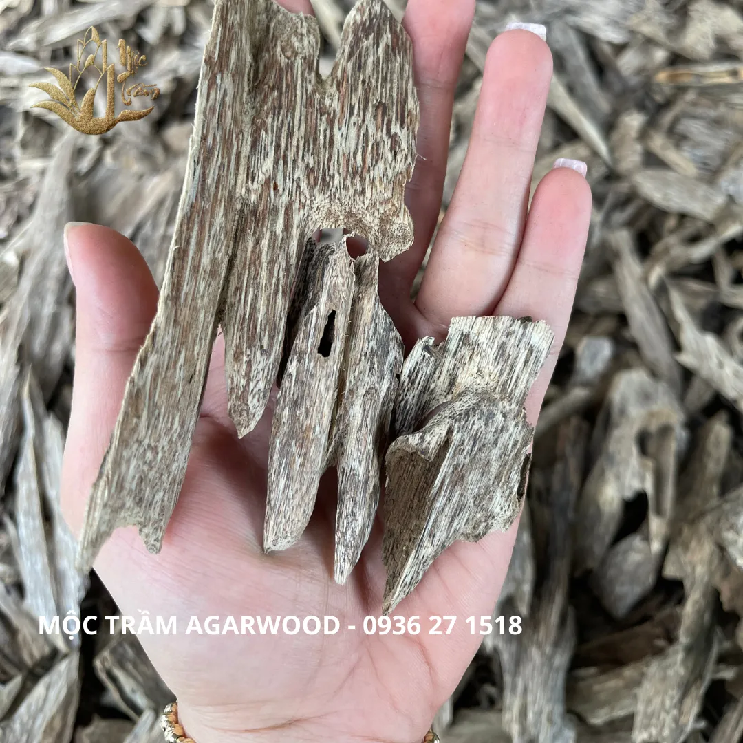 Natural Vietnamese Kien Xi Agarwood Chips – Resinous Oud Pieces (Multiple Weights Available)